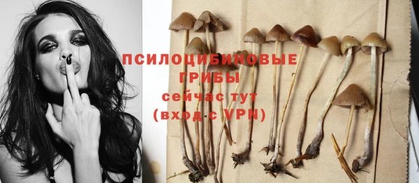 ECSTASY Балабаново