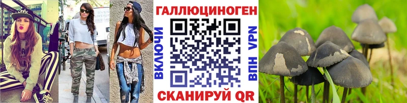 Галлюциногенные грибы GOLDEN TEACHER  купить наркотик  Бирюсинск 